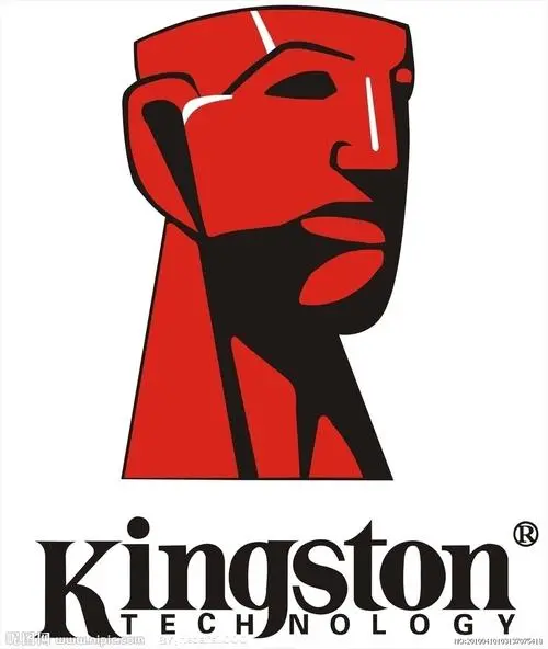 制造商KingSton/金士顿的图片
