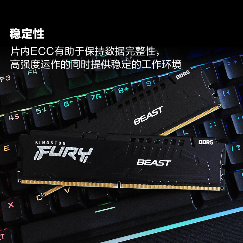 金士顿野兽16G/5200/DDR5的照片