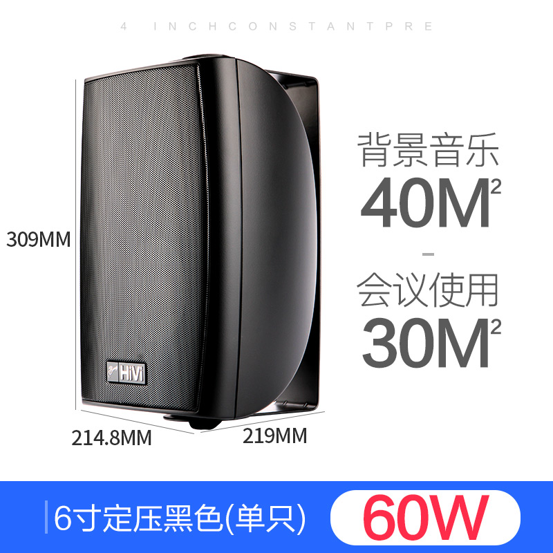 惠威 VA6OS-T100壁挂音箱（单只）的照片