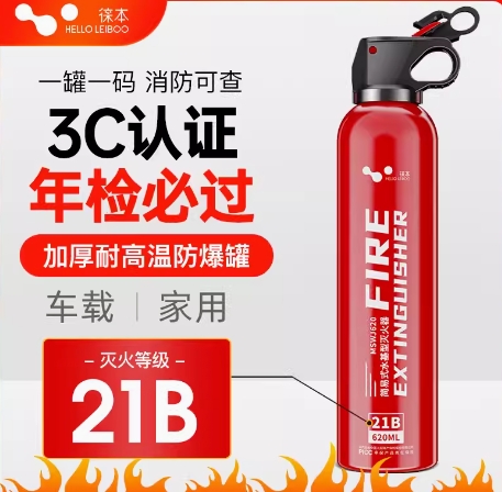 高性能21B车载灭火器代采的照片