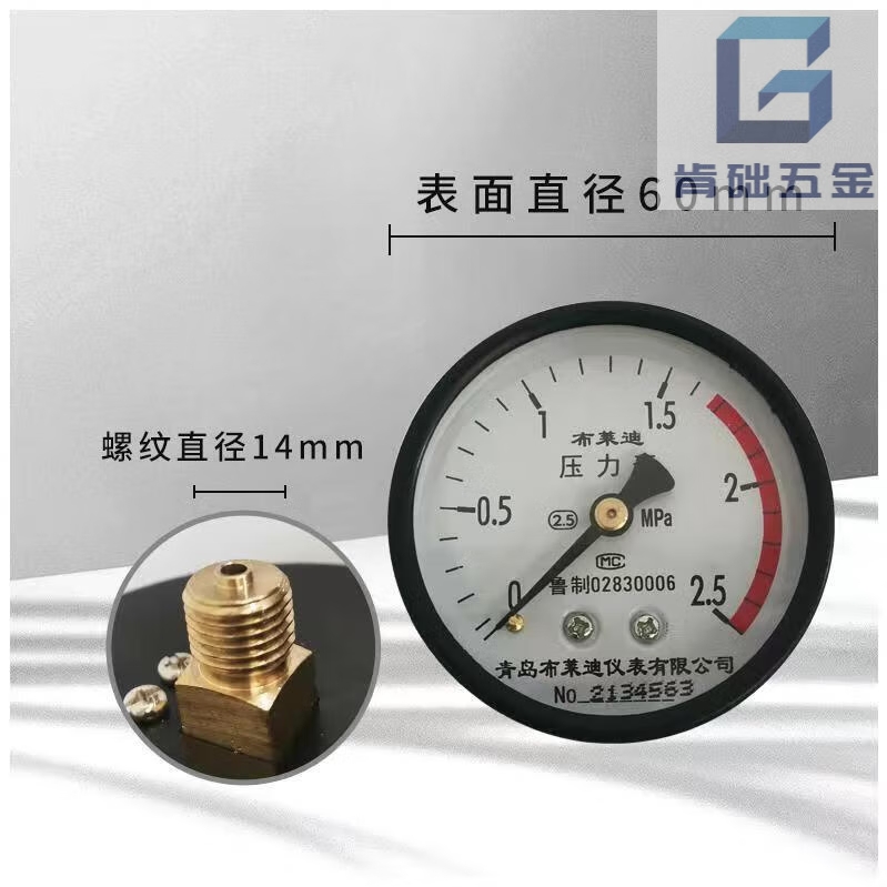 艾风格青岛布莱迪仪表Y-100Z轴向压力表的照片
