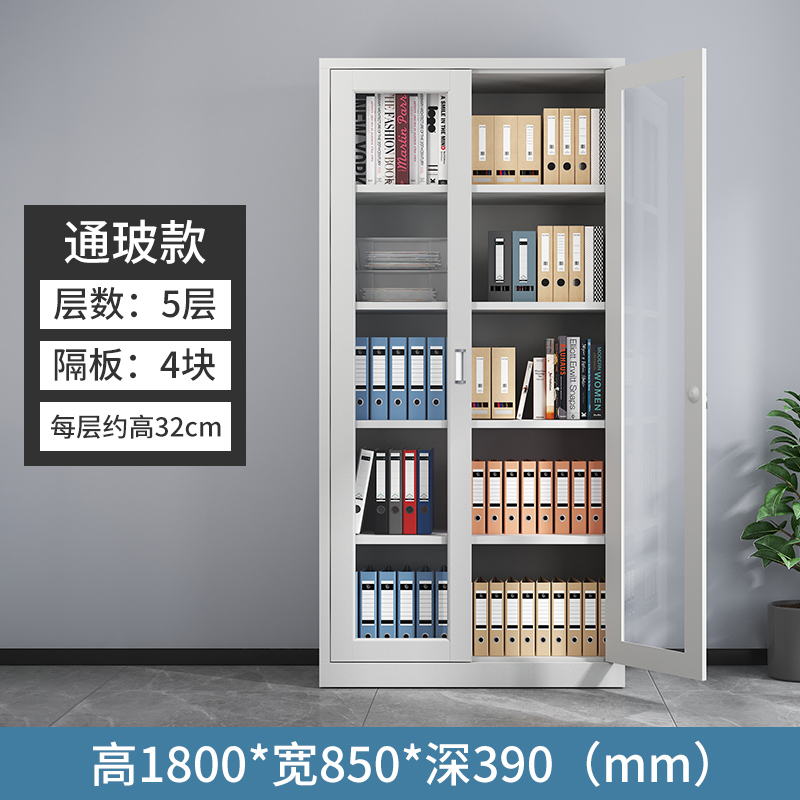 会计财务凭证柜钢制通玻文件资料储物柜的照片